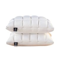 Goose down feather pillow Five-star hotel down pillow goose luxury series duck down alternative bed pillow core white Travel pillows