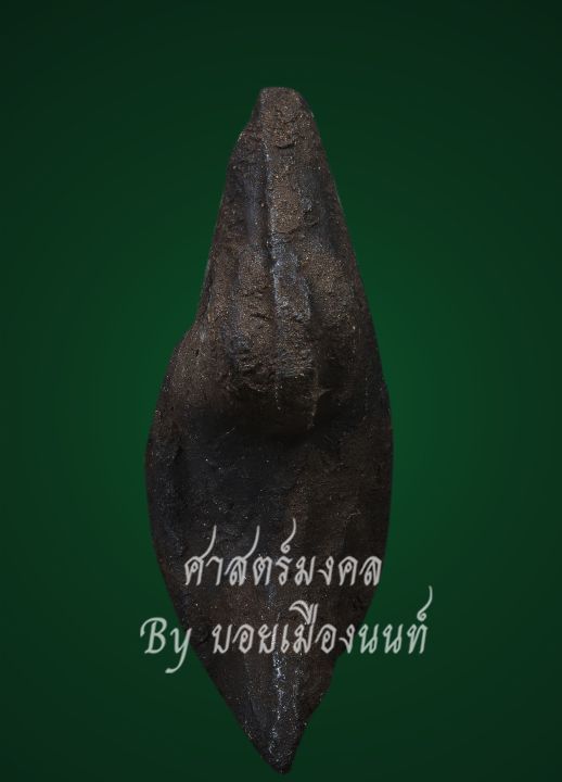 สาริกา-อันดับ1-พ่อท่าน่วม