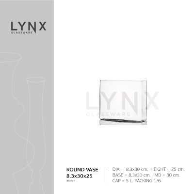 LYNX - RECTANGLE VASE 8.3x30x25 - แจกันแก้ว แฮนด์เมด ทรงสีเหลี่ยมผืนผ้า ความสูง 25 ซม.