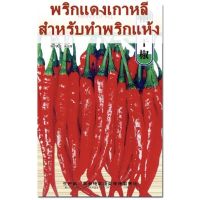 เมล็ดพริกแดงเกาหลี เมล็ด  สายพันธุ์