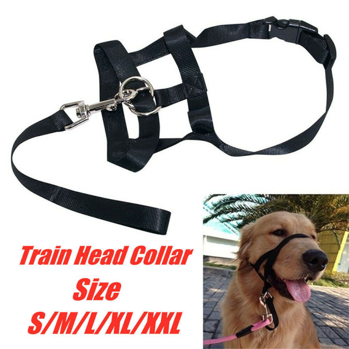 leader-training-gentle-collar-head-halter-dog-dogalter