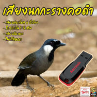 เสียงต่อ นกกะรางคอดำ ยาว6ชั่วโมง เสียงเพราะ ไม่มีโฆษณา แฟลชไดร์ฟ(Flash Drive) มีเก็บเงินปลายทาง ส่งด่วน Kerry Express