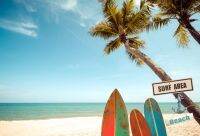【❂Hot On Sale❂】 liangdaos296 ฤดูร้อนปาล์มเรือกิ่งไม้คลื่นโต้คลื่นฮาวาย Board ทรายทะเลชายหาดท้องฟ้าสีคราม Custom Photo Studio ฉากตกแต่งไวนิล