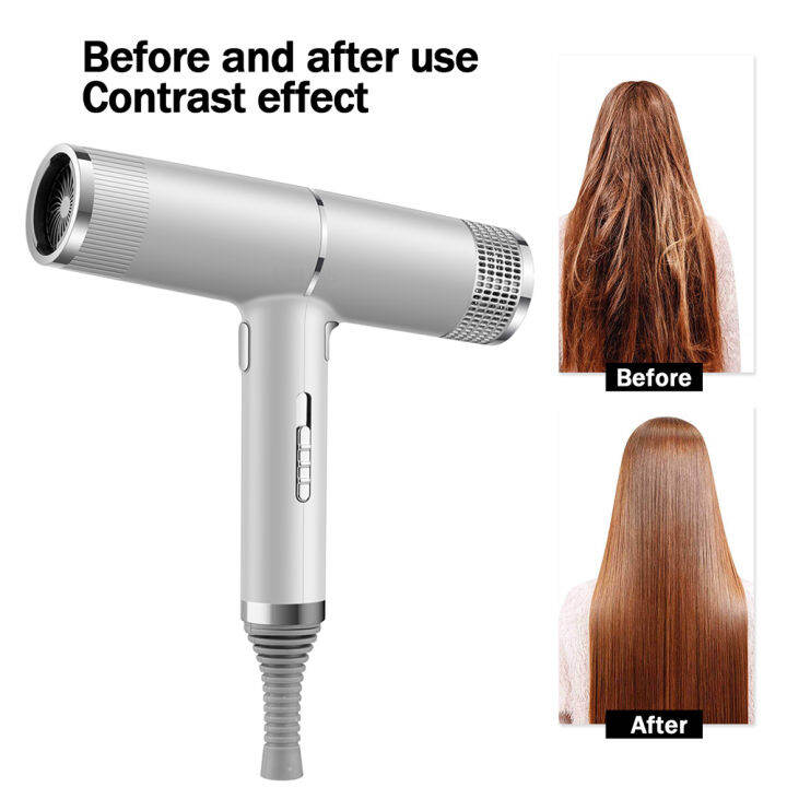 New Professional Hair Dryers Light Weighte Air Blow Dryer Salon Dryer ...