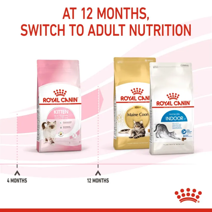 exp-10-24-royal-canin-kitten-cat-10-kg-อาหารสำหรับลูกแมว-4-12-เดือน-ขนาดบรรจุ-10-kg