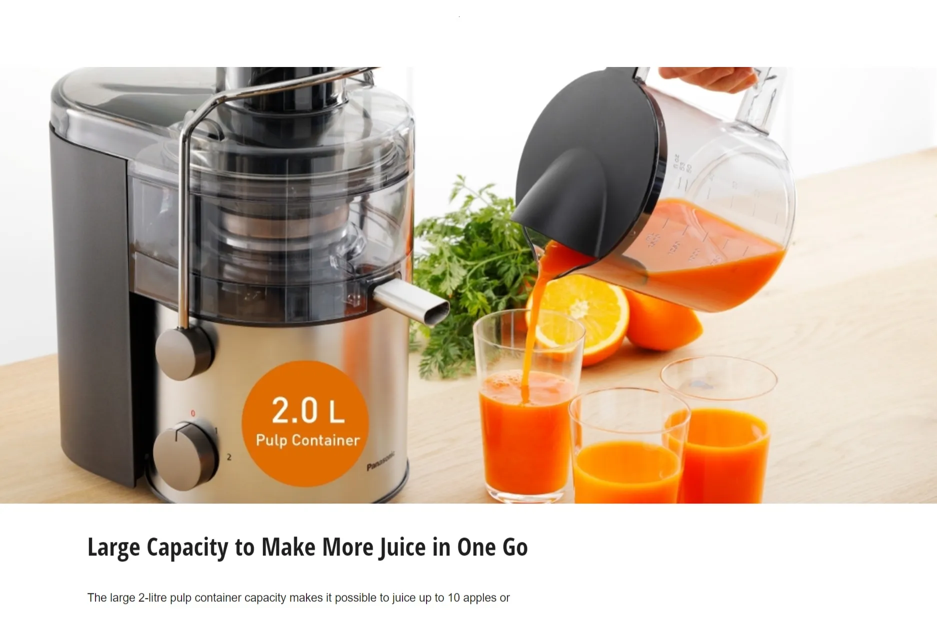 Panasonic MJ-CB600 Large-Capacity Juicer 2.0L Price in Bangladesh ...