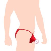 Temptation Elephant Bikinis Modal Male Briefs Sexy Panties Penis Pouch Men Underwear Cuecas Slip Hombre Mutande Uomo Lingerie