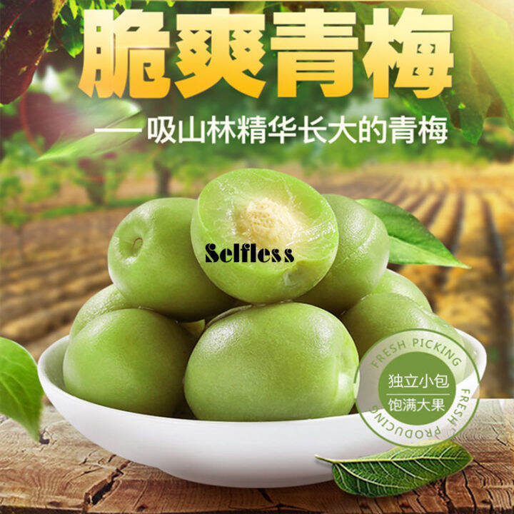 Selfless Green Crispy Plum กรีนพลัม ผลไม้ดอง ขนมจีน 500g/250g Lazada