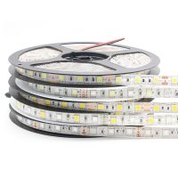 SMD 5050 RGB LED Strip Waterproof 5M 300LED DC 12V White Red Blue Green Fita LED Light Strips Flexible Neon Tape Luz Monochrome