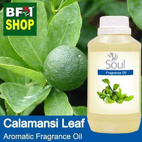 Aromatic Fragrance Oil (AFO) - Calamansi Leaf Aromatic Fragrance Oil ...