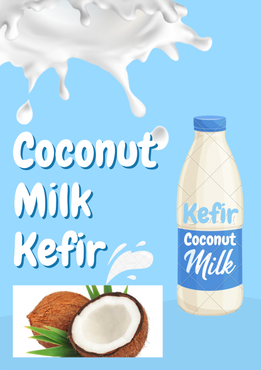Coconut Milk Kefir 1 Liter Probiotic Lazada PH