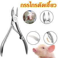 กรรไกรตัดเขี้ยวหมู กรรไกรตัดฟันหมู กรรไกรตัดฟันสัตว์ กรรไกรตัดเขี้ยว สแตนเลส แข็งแรง