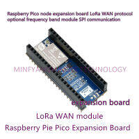 1 Pico-443M Pico-868M Pico-915M ราสเบอร์รี่ Pico โหนดคณะกรรมการการขยายตัว LoRa WAN โปรโตคอลตัวเลือกความถี่วงโมดูล SPI