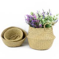 [Like Activities]1Pcs DIY ตะกร้ากระชอนซ้อน GardenGarden PlantPot Desktop Ornament Supplies