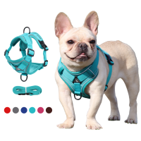 No Pull Dog Harness And Leash Set Adjustable Harness Vest For Small Dogs Cats Reflective Mesh Dog Chest Strap French Bulldog