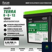 เทอร์ร่า (TERRA) 1.0 kg | เร่งราก &amp; เพิ่มการแตกตาดอก | KING WHALE