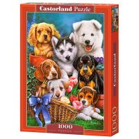 Castorland jigsaw puzzle จิ๊กซอว์นำเข้า 1000 ชิ้น