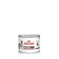 Royal Canin VET Cat [ 1 กระป๋อง ] Recovery อาหารสัตว์ป่วย สัตว์ป่วย พักฟื้น 195 g