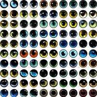 50 Pcs Glass Eyes for Sewing Dolls Crafts Accessories Round