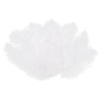 200 Pieces White Natural Ostrich Feather 20-25cm Wedding DIY