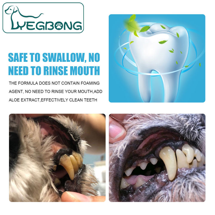 น้ำยาดับกลิ่นทาร์ทาร์60กรัมสำหรับทำความสะอาดยาสีฟันกินได้แมวลิปกินได้ช่องปากสุนัขหายใจคล่อง