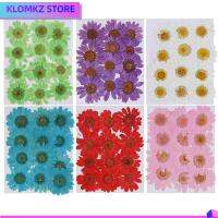 KLOMKZ 12PCS/Bag ลดกระหน่ำ DIY เรซิน ศิลปะ เดซี่ดอกไม้ประดิษฐ์ กด การทำเครื่องประดับ