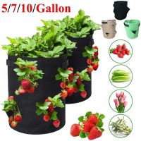 Planting Grow Bag Vegetable Strawberry Vertical Flower Herb Pouch Root Breathable Round Reusable Pot Planter for Home Garden