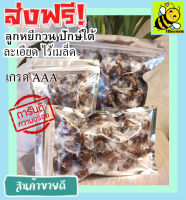 ส่งฟรี!! 500 กรัม (พร้อมทาน) ลูกหยีไร้เมล็ด ลูกหยีกวน รสชาติอร่อย (มีให้เลือก 500 และ 100 กรัม) หอม เปรี้ยว หวาน ลงตัว โดยธรรมชาติ ลูกหยีกวนไรเมล็ด ลูกหยีกวนละเอียดไรเมล็ด ลูกหยีไม่มีเม็ด ลูกหยีสด