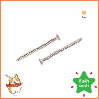 สกรูเกลียวปล่อย TF DEXZON 7X2 นิ้ว 15 ตัวSELF-TAPPING SCREW TF DEXZON 7X2IN 15PCS **คุ้มที่สุดแล้วจ้า**