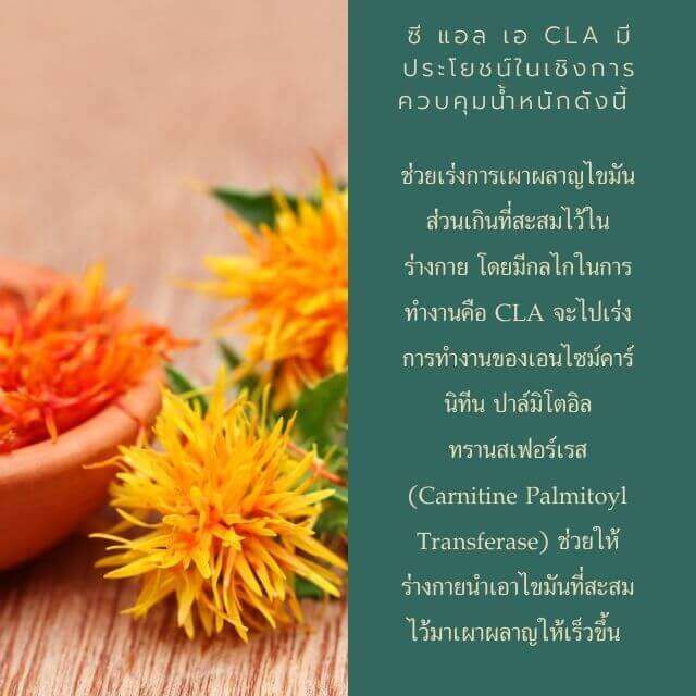 ส่งฟรี-น้ำมันดอกคำฝอย-ซี-แอล-เอ-900-มก-กิฟฟารีน-giffarine-cla-900