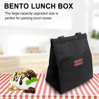 Bento Lunch Box Thermal Bag Large Capacity Food Zipper Storage Bags Container for Women Cooler Travel Picnic Handbags