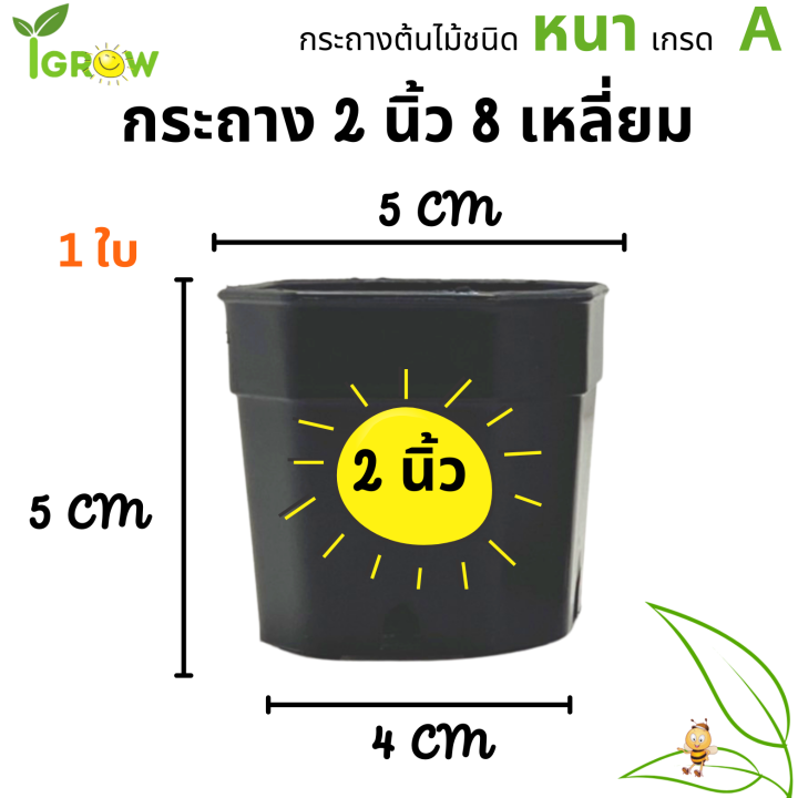 กระถาง-8-เหลี่ยม-ขนาด-2-นิ้ว-สีดำ-มินิมอล-สำหรับใส่แคนตัส-ต้นไม้จิ๋ว-มินิมอล-สวย-แท้-แน่นอน