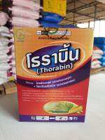 โธราบิ้น ขนาด 100 กรัม สารสามัญไดเมโทมอร์ฟ+ไพราโคลสโตรบิน12%+6.7%(เชื้อราฟิวซาเรียม/ไฟทอปธอร่า/โรคใบติด/โรคกาบใบแห้งในข้าว/โรคแอนแทนคโนส