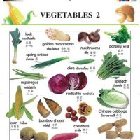 Kid Plus สื่อเสริมทักษะ โปสเตอร์ 3 ภาษา (ไทย-อังกฤษ-จีน) LOOK AND LEARN CHARTS - VEGETABLES 2