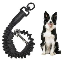 Reflective dog Leash Elastic extension traction rope Buffer Pet Lead Dog Leashes Extend belt for Small Medium Large big Dogs