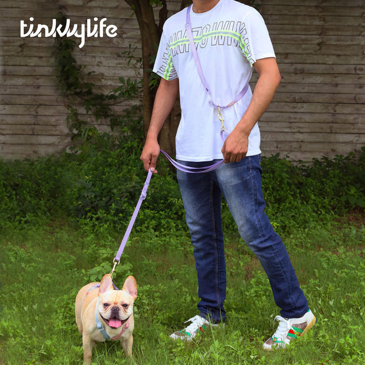 ฟัง-tinklylife-สายจูงสองหัวสีรุ้ง-โซ่สุนัขสีลูกกวาดมือมืออาชีพสายจูงสัตว์เลี้ยง