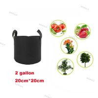 2 Gallon 20x20cm Fabric Grow Bag Felt Plant Bags with Handle Potato Vegetable Growing Planter Vertical Flower Pot Black WDAGTH