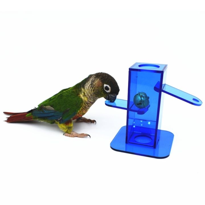 นกจับเหยื่อของเล่นกล่องอะคริลิสีฟ้าใสที่มีระฆังโลหะสีทองการปรับปรุงสติปัญญาสำหรับนกแก้ว-c-ockatiel-นกแก้ว
