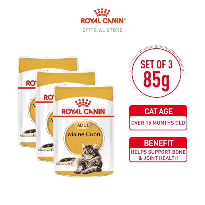 Royal Canin Maine Coon Adult Wet Cat Food (85g x 3 pouches) - Feline ...