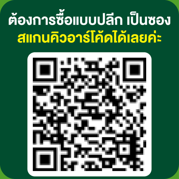 ผักซอง-ศรแดง-เมล็ดพันธุ์-พันธุ์ผัก-แตงกวาสยาม-บรรจุแพ็คล่ะ-10-ซอง-ราคา-70-บาท