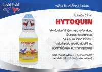 HYTOQUIN 35 ml. ไฮโตควิน 35 มล. #ไก่ชน #รับประกันของแท้ #by kaigu