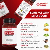 Androgen Pharma - Lipo Boom (Fat Burner) 60 caps