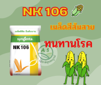 เมล็ดพันธุ์ข้าวโพด NK106 เมล็ดสีส้มสวย ทนทานโรค ขนาดบรรจุ 10 กิโลกรัม ผลผลิตสูง ฝักใหญ่ แกนเล็ก