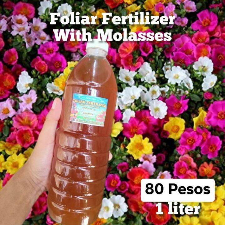 【2023】 Fermented Fruit Juice(FFJ) w/ Pure Molasses Lazada PH