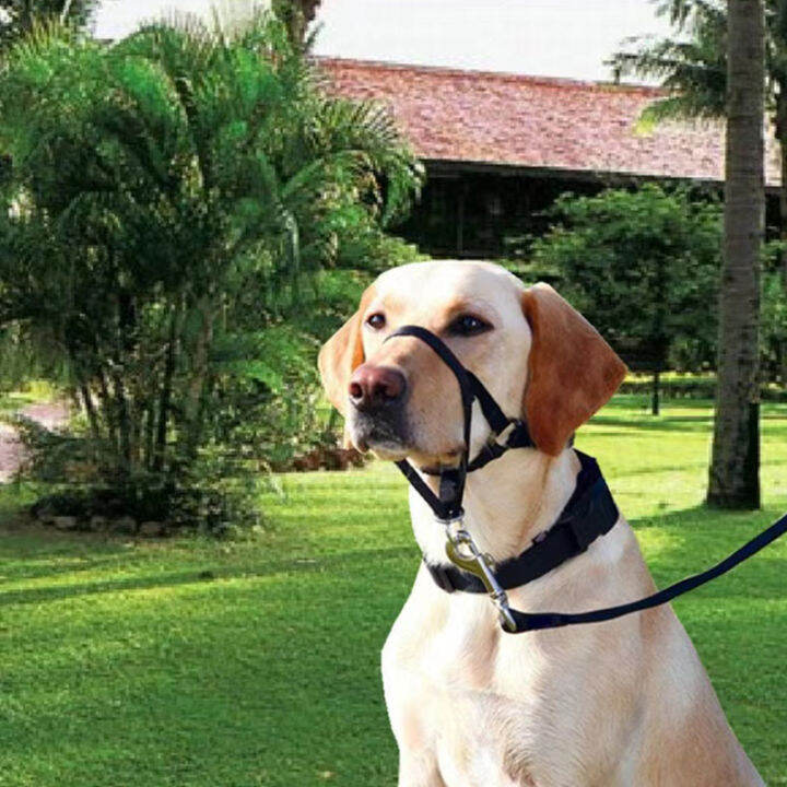 ไนลอนสุนัข-muzzle-ปรับ-anti-barking-anti-bite-harness-head-collar-muzzle-dog-halter-training-leash-leader-ปลอกคอคลาสสิก