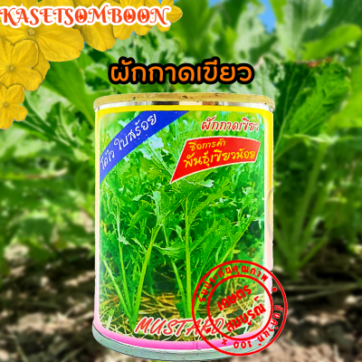 เมล็ดผักกาด เขียวน้อย เมล็ดพันธุ์ 80 ก. ตรา ต้นไผ่