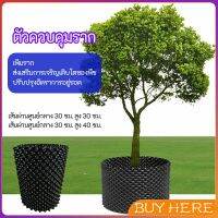 BUY HERE กระถางเร่งรากโต กระถางมีรู มี 2 ขนาด