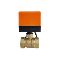 DN25 Electric Ball Valve With Motor 3-Wire Brass Motorized Ball Valve Electric Drive Crane 220V 24V 12V Water Valves