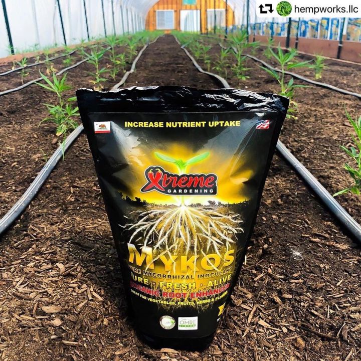 พร้อมส่ง-ลดผงเร่งราก-mykos-xtreme-gardening-แบบถุง-2-2lb-998g-แท้-100-จาก-usa-ผง-ระเบิดราก-เร่งโต-เร่งดอก-น้ำยา-ผงเร่ง-เร่งราก-สินค้าใหม่