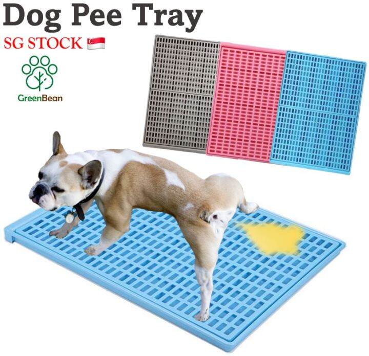Dog Pee Tray / Flat Dog Pee Tray / Dog Puppy Training Toilet / Pet Pee